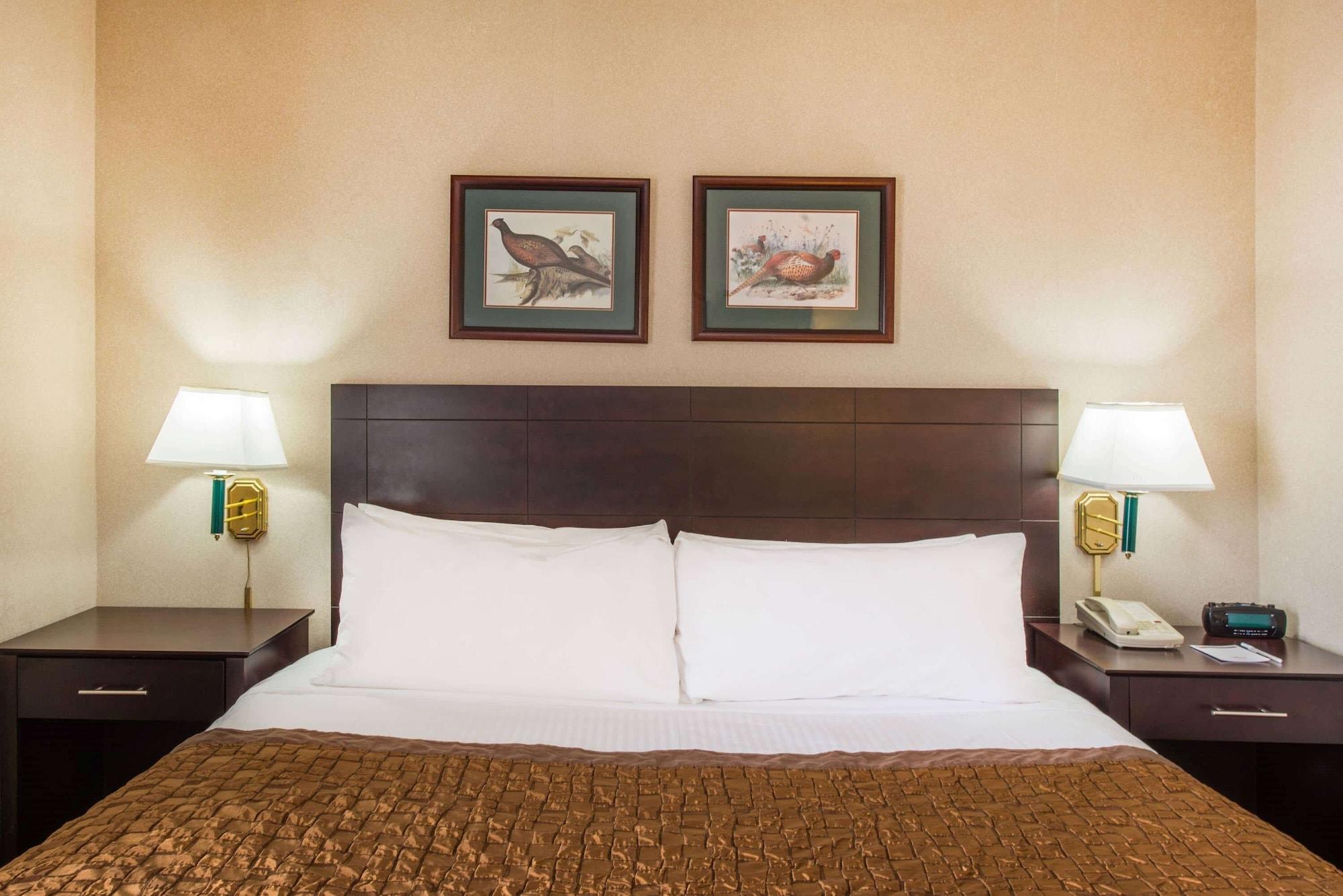 Hawthorn Extended Stay By Wyndham El Paso Dış mekan fotoğraf